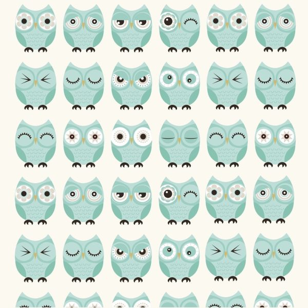 Whoo Are You Fabric - Aqua Supply