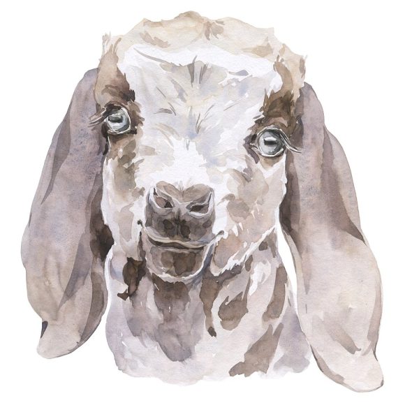 Watercolor Goatling Fabric Panel Online Hot Sale