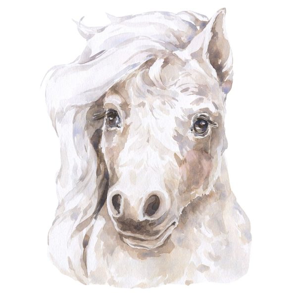 Watercolor Foal Fabric Panel Cheap
