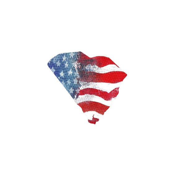 Watercolor Textured Flag Fabric Panel - South Carolina Discount