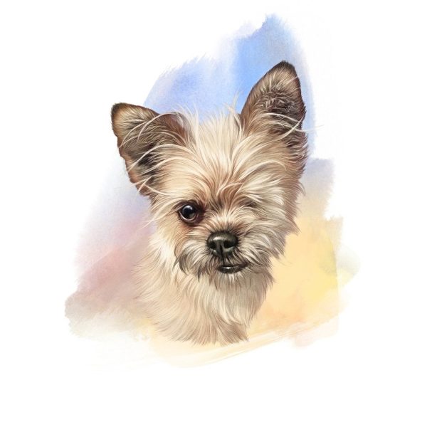Yorkshire Terrier Portrait Fabric Panel on Sale