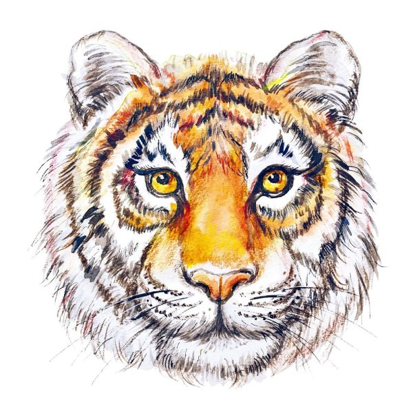 Face Of Tiger Painting Fabric Panel Cheap